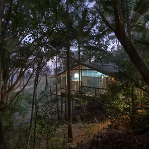 Treetops Seaview , Montville Australia